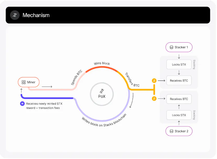 Diagram of the Stacks Proof of Transfer mechanism where miners spend BTC and stackers lock STX to earn BTC rewards